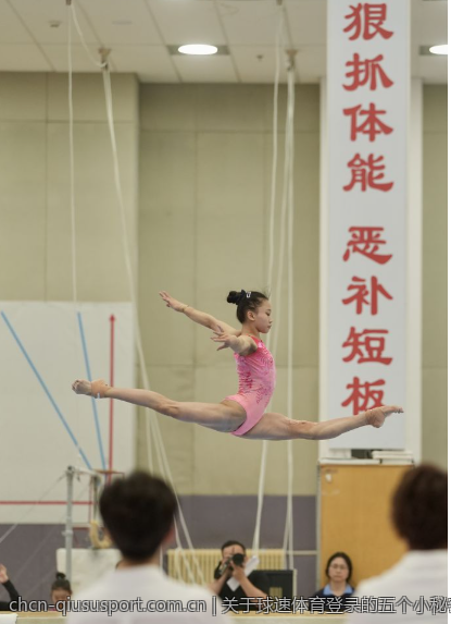 关于球速体育登录的五个小秘密